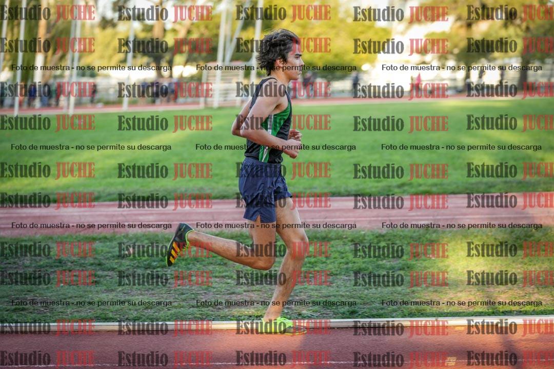 Fotos de los 3000 m llanos de varones
