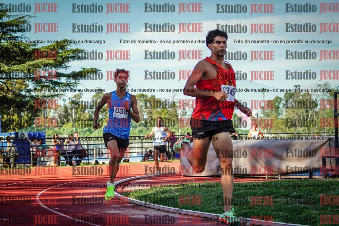 Fotos de los 1500 m llanos de varones