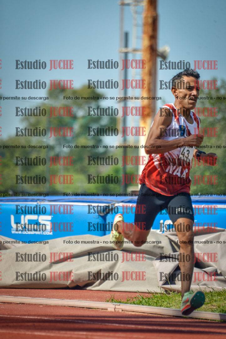 Fotos de los 800 m llanos de varones