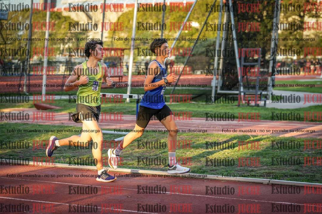 Fotos de los 3000 m llanos de varones