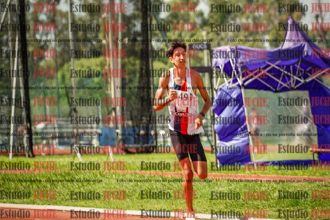Fotos de los 800 m llanos de varones