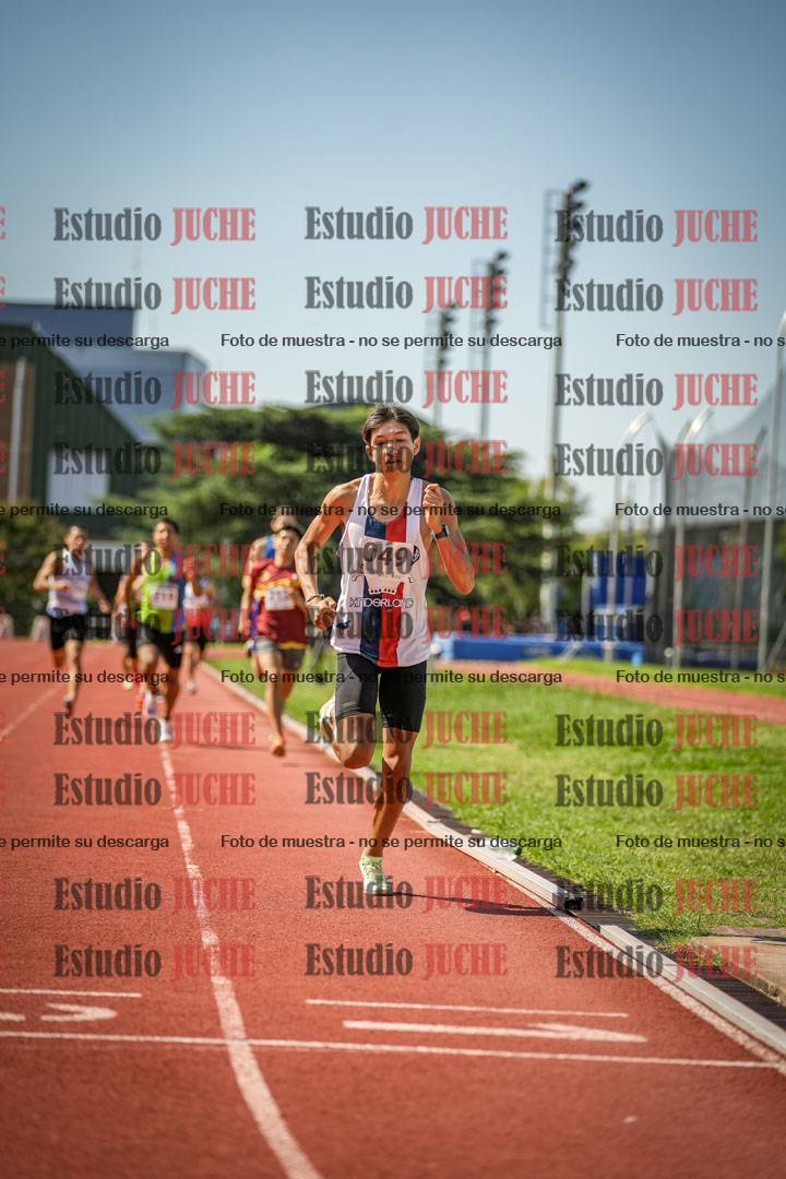 Fotos de los 800 m llanos de varones