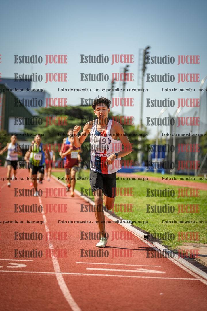 Fotos de los 800 m llanos de varones