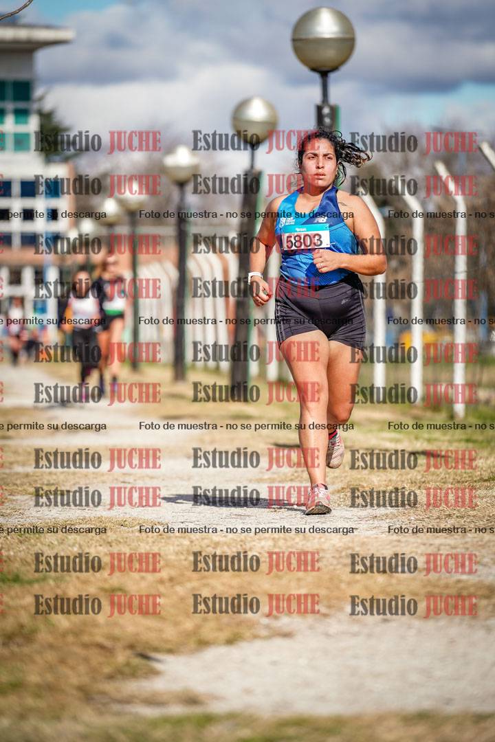Fotos en el circuito