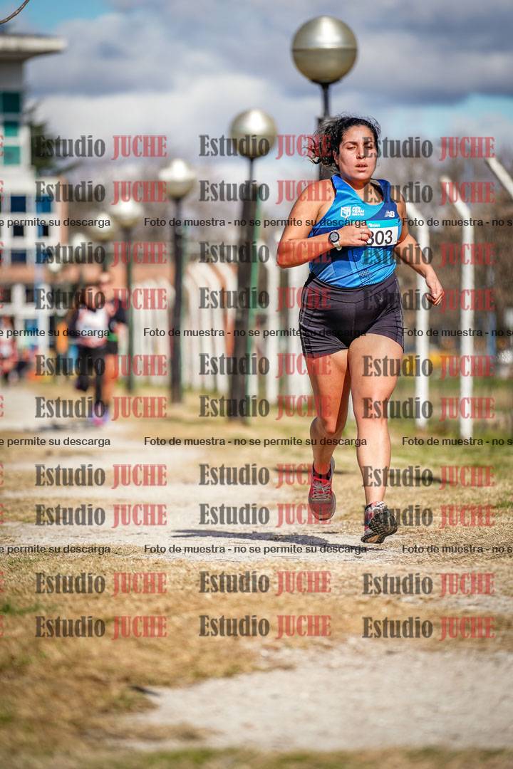 Fotos en el circuito