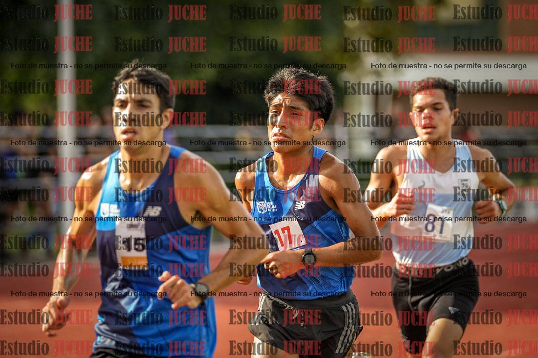 Fotos de los 5000 m llanos