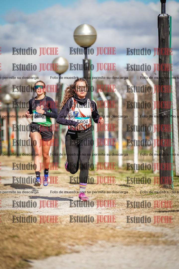 Fotos en el circuito