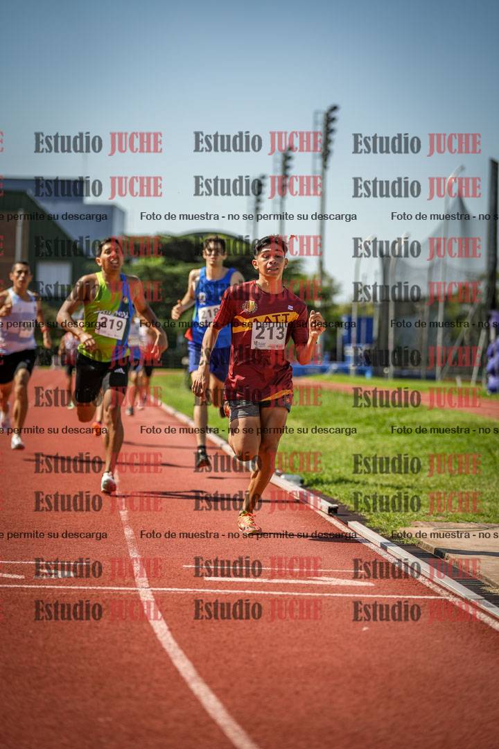 Fotos de los 800 m llanos de varones