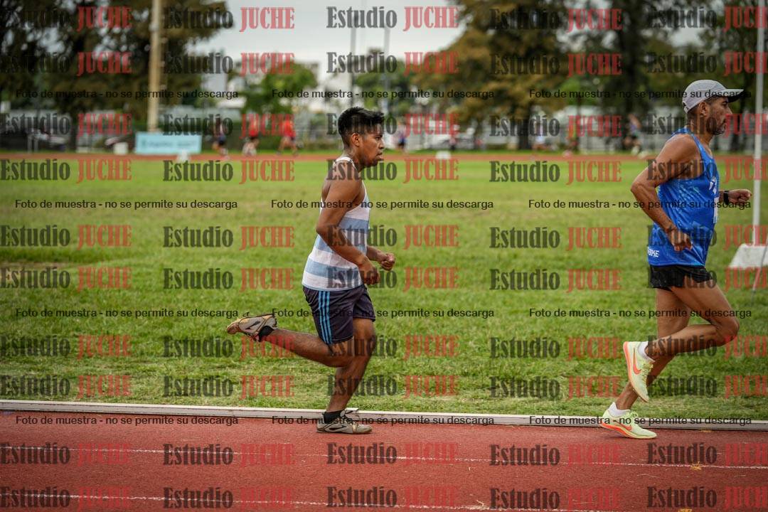 Fotos de los 3000 m llanos de varones