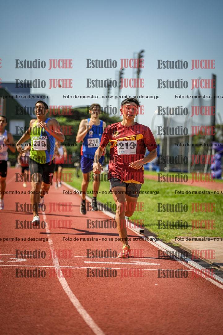 Fotos de los 800 m llanos de varones