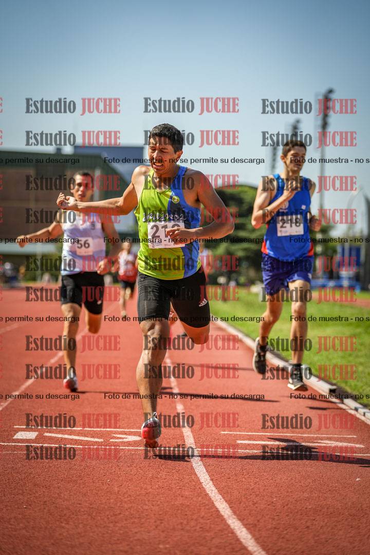 Fotos de los 800 m llanos de varones