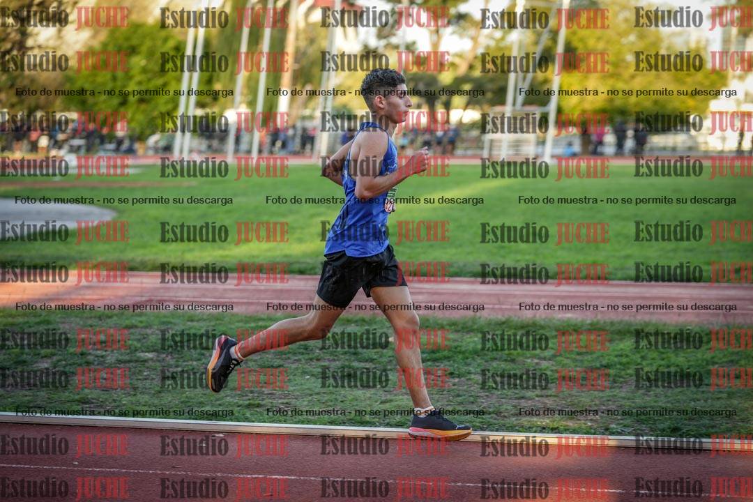 Fotos de los 3000 m llanos de varones