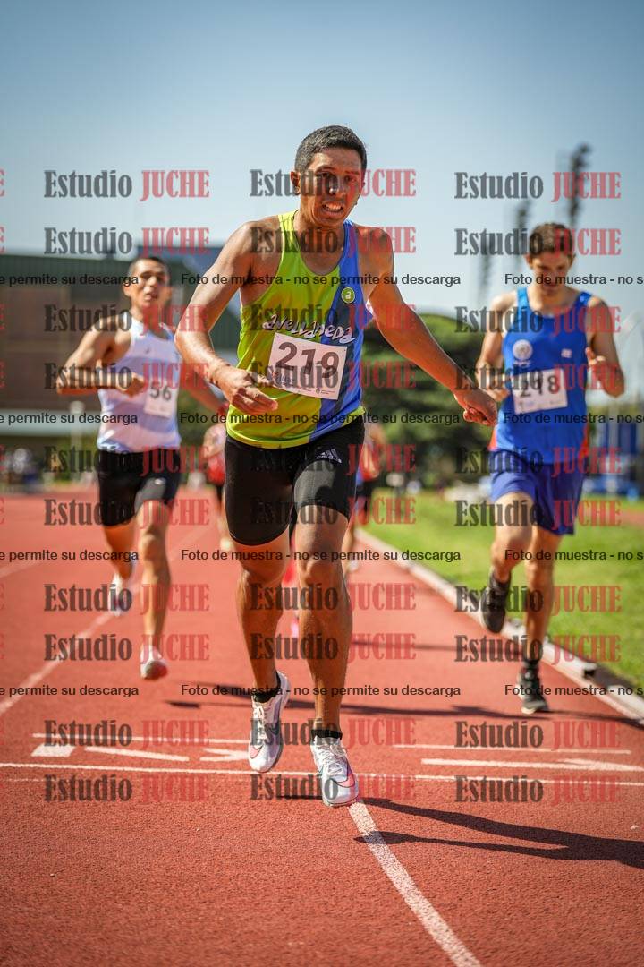 Fotos de los 800 m llanos de varones