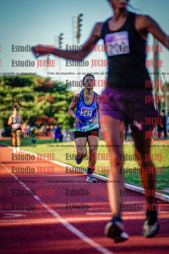 Fotos de los 1500 m de mujeres