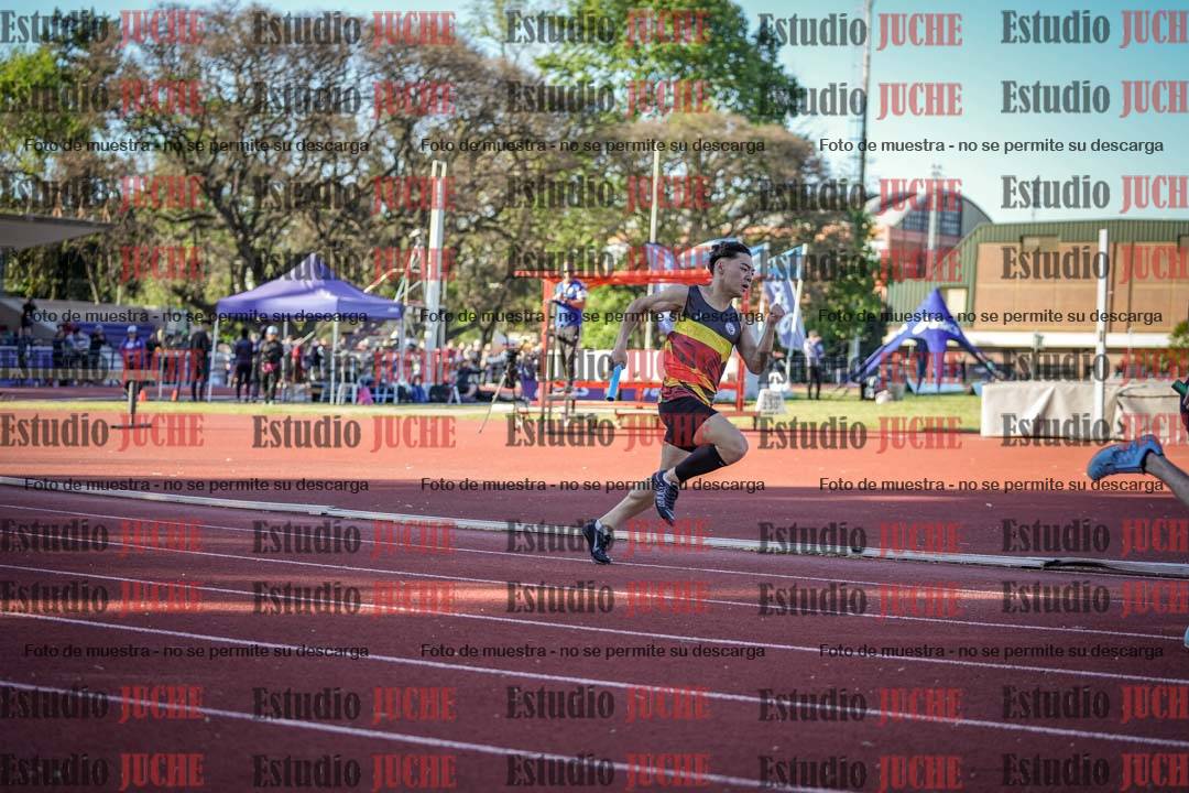 Fotos de las Postas 4x100 m de varones