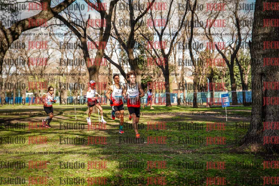 Fotos en el circuito