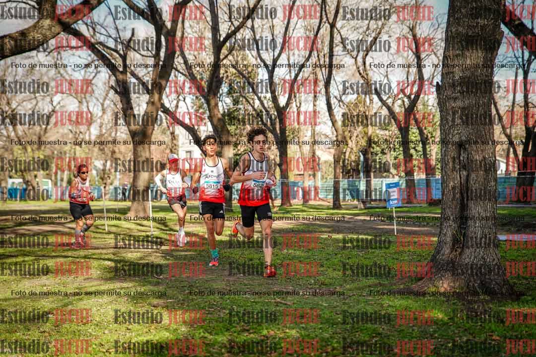 Fotos en el circuito