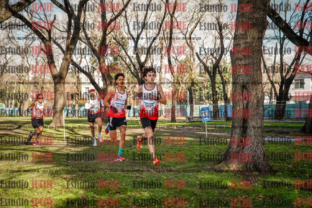Fotos en el circuito