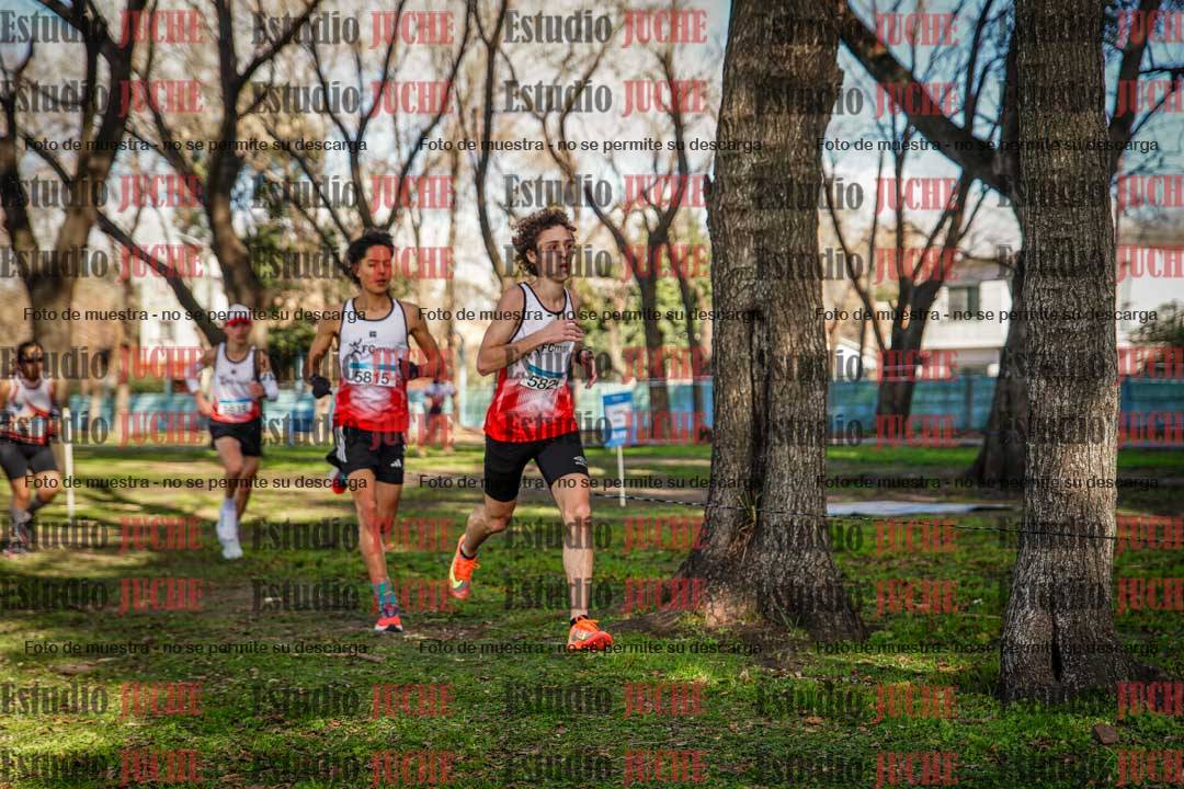 Fotos en el circuito