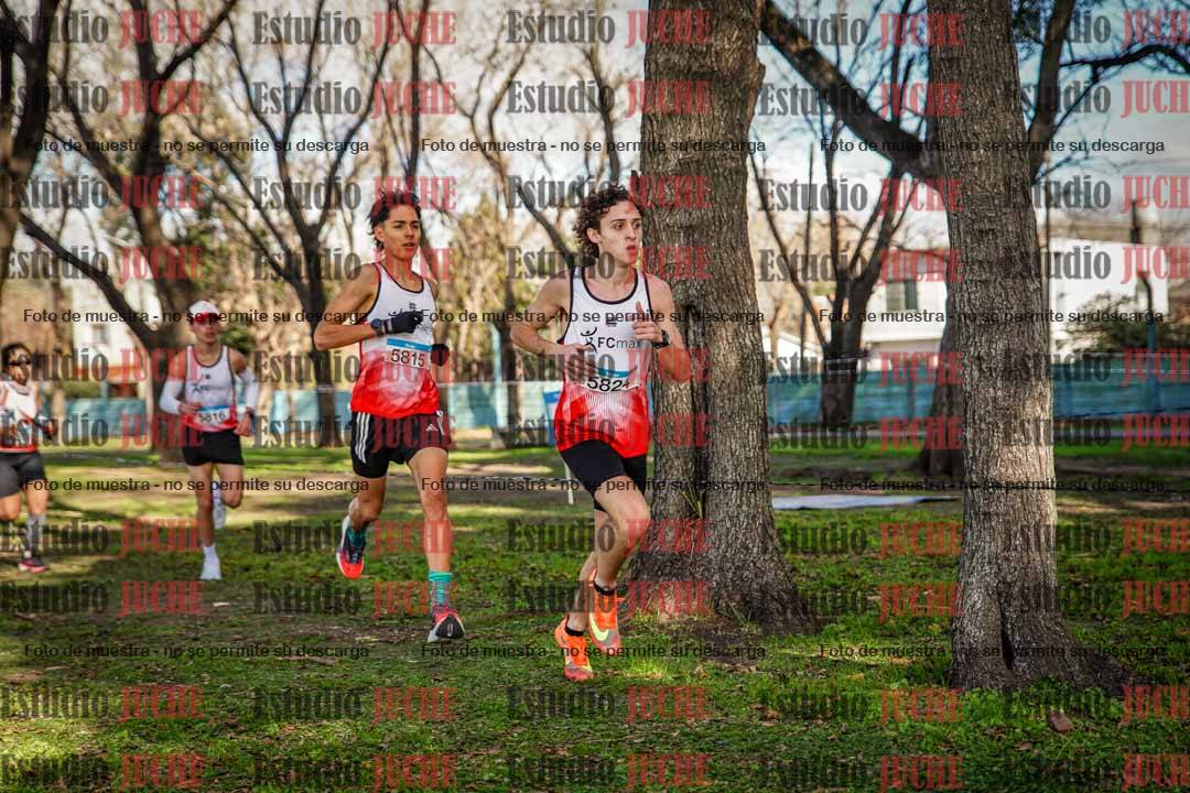 Fotos en el circuito
