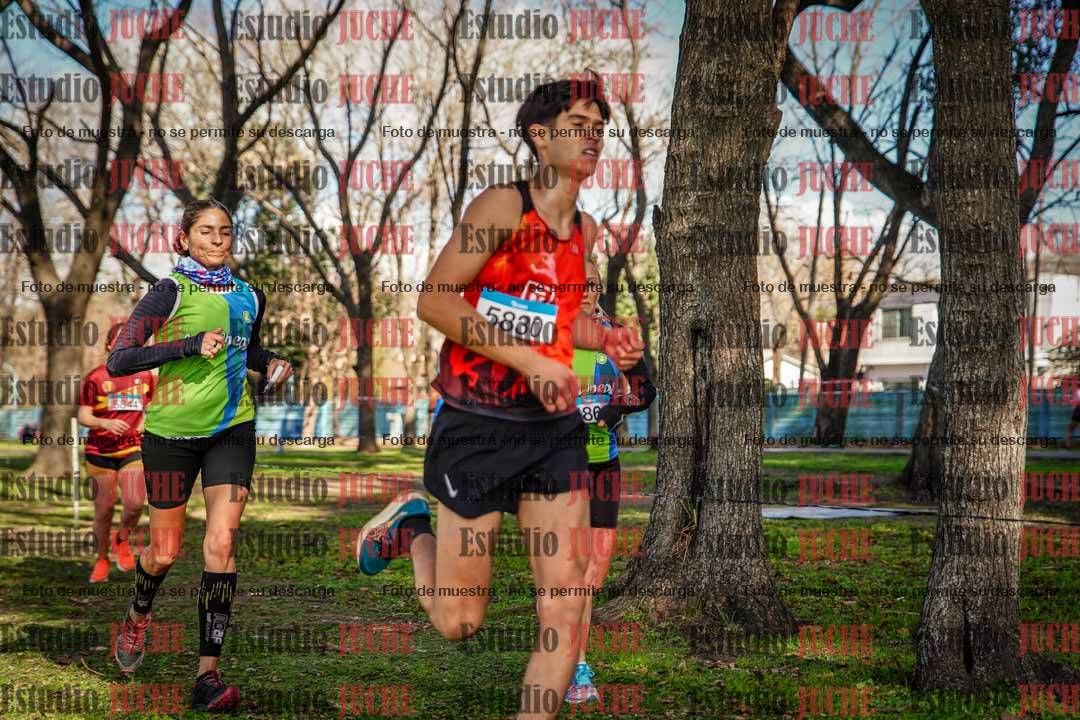 Fotos en el circuito