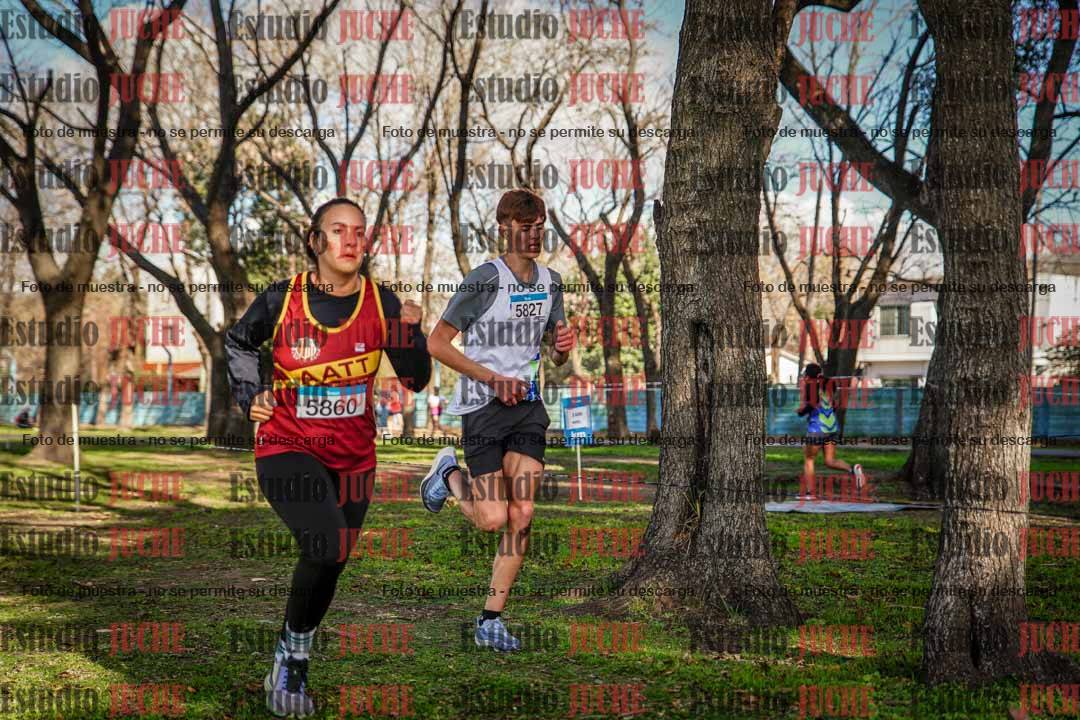 Fotos en el circuito