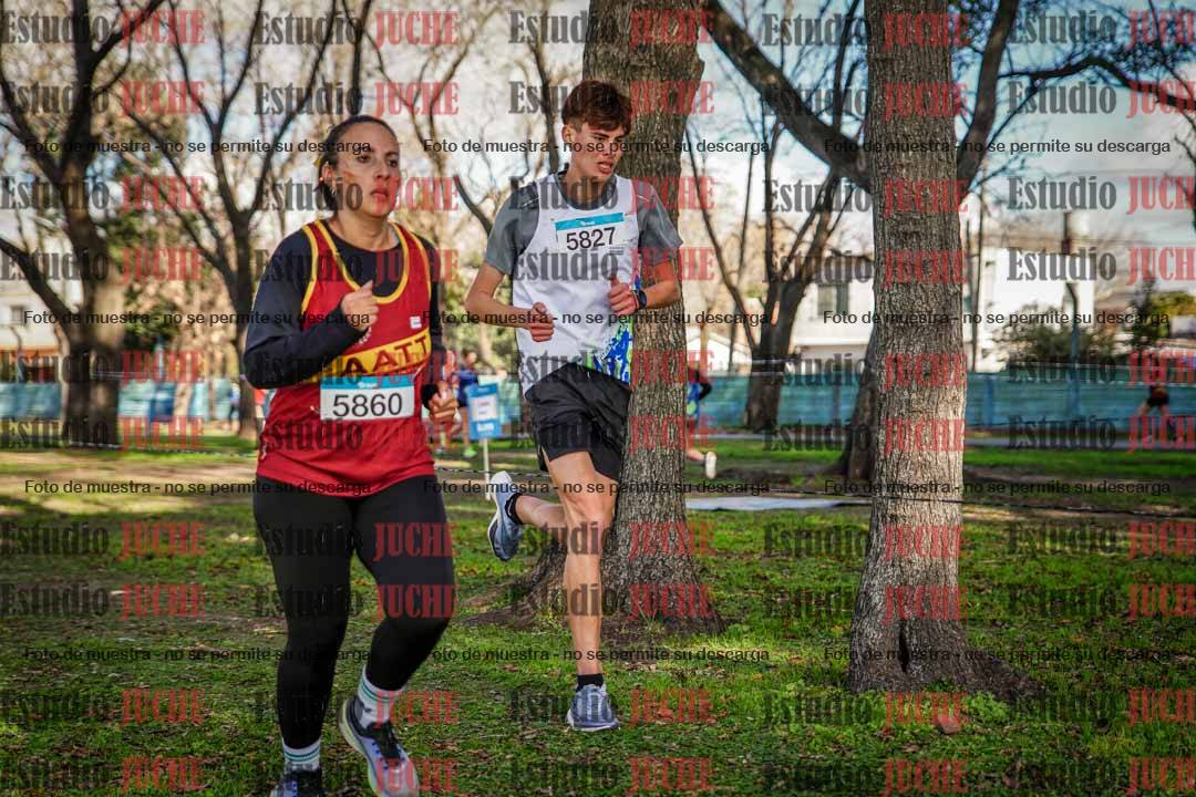 Fotos en el circuito