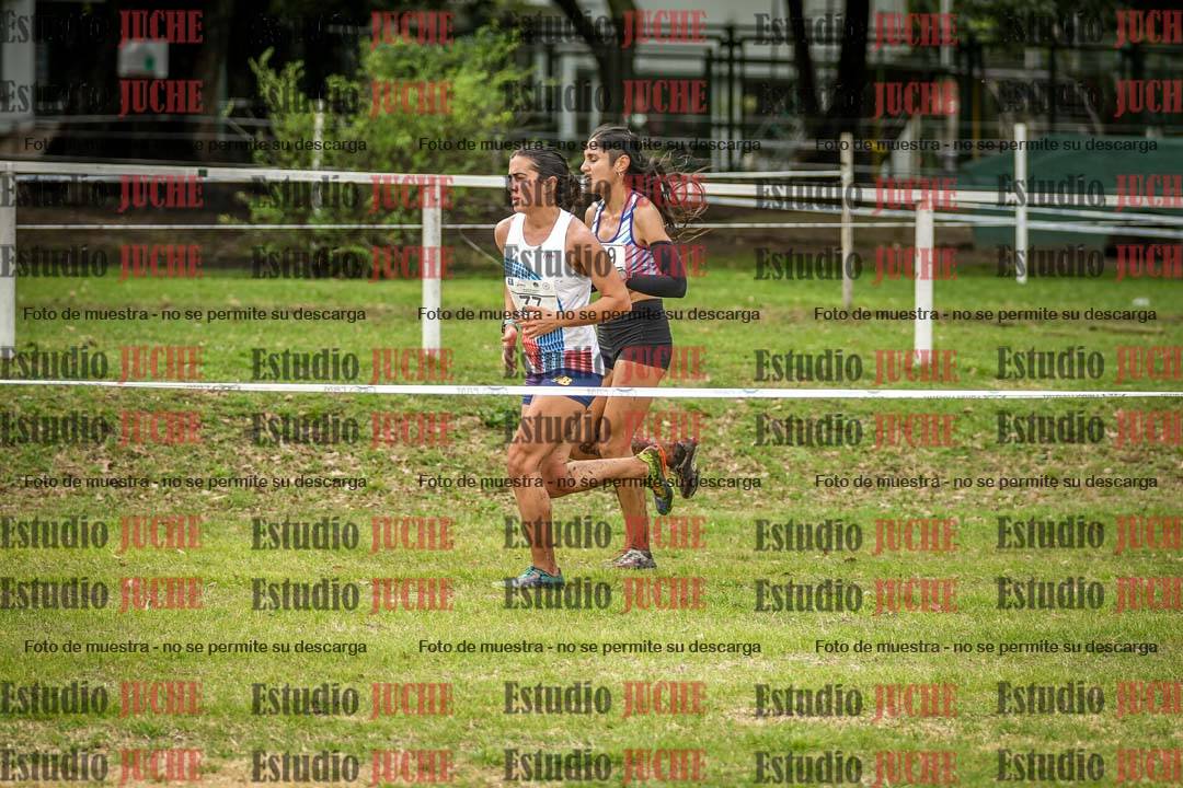 Fotos en el circuito