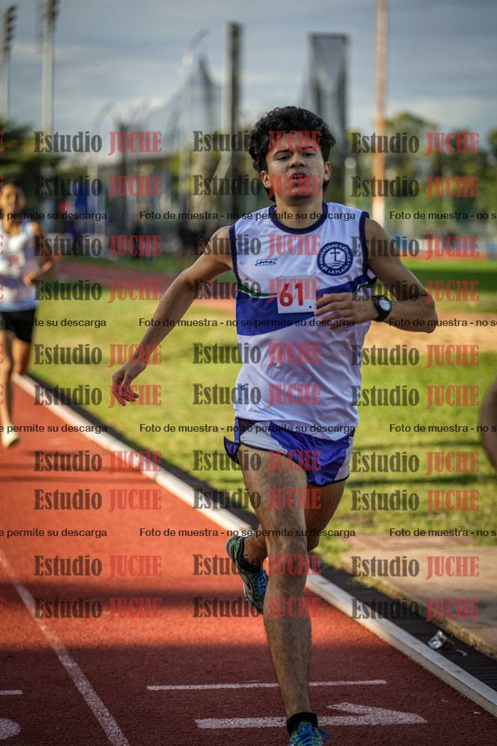 Fotos de los 1500 m llanos de varones