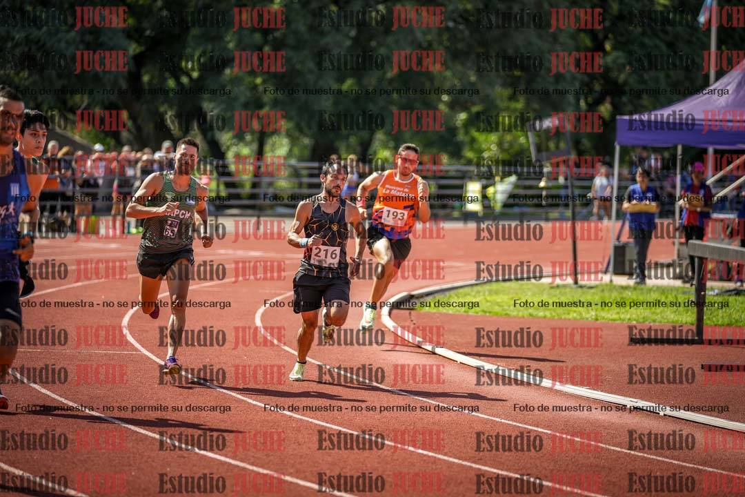 Fotos de los 800 m llanos de varones