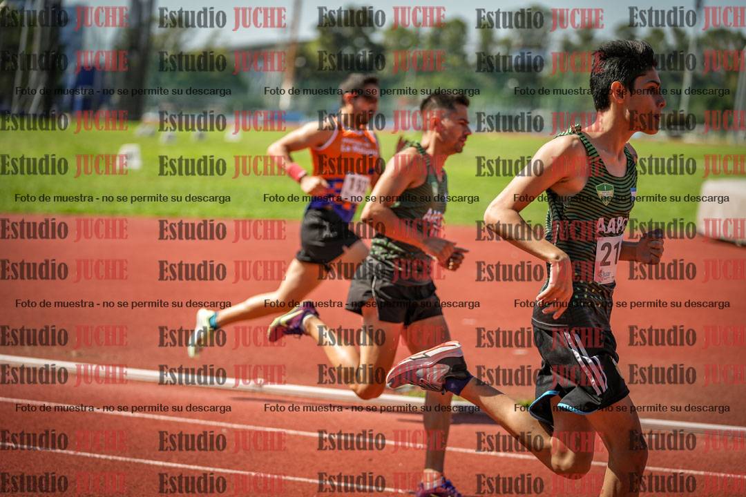 Fotos de los 800 m llanos de varones