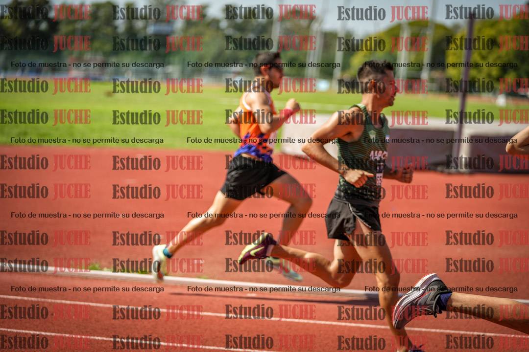 Fotos de los 800 m llanos de varones