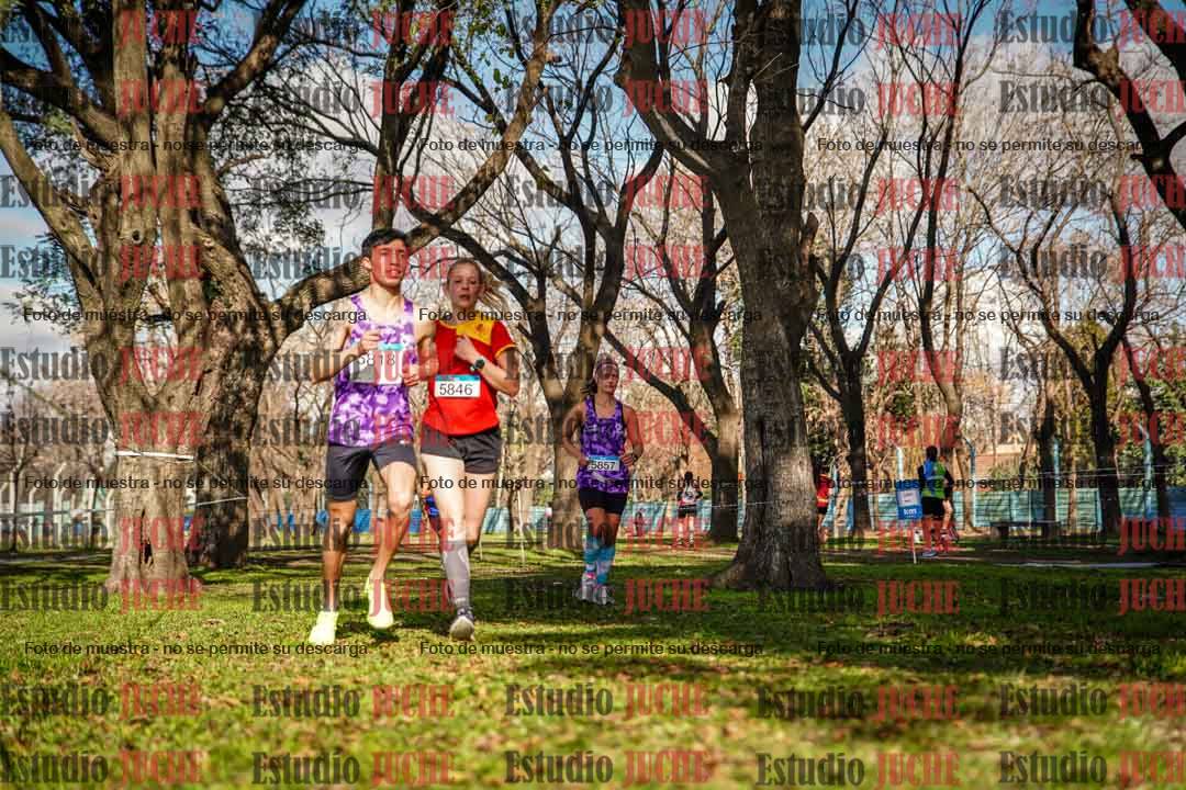 Fotos en el circuito