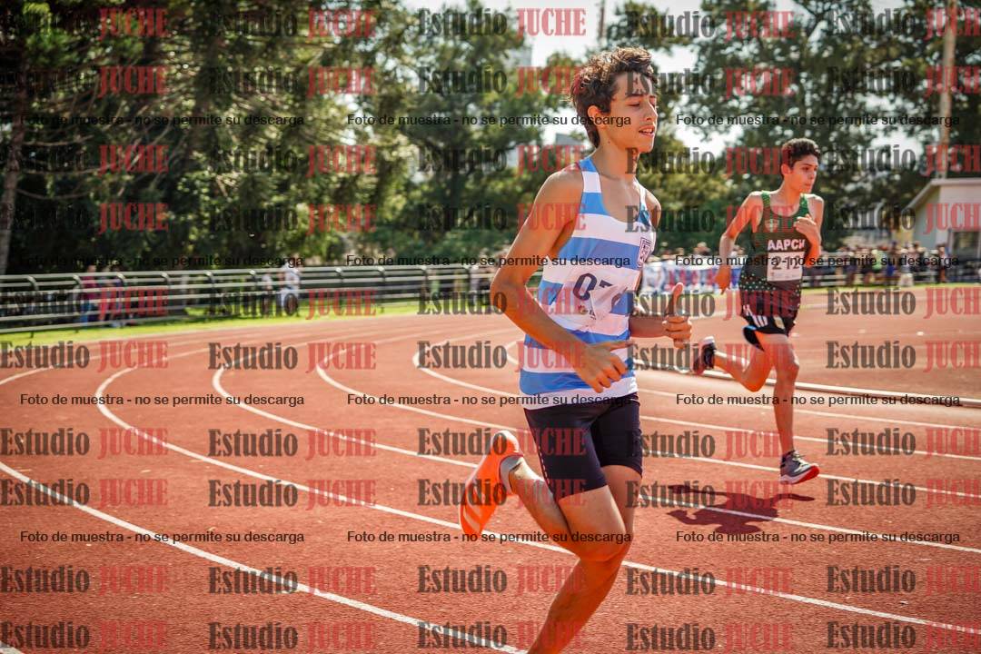 Fotos de los 800 m llanos de varones
