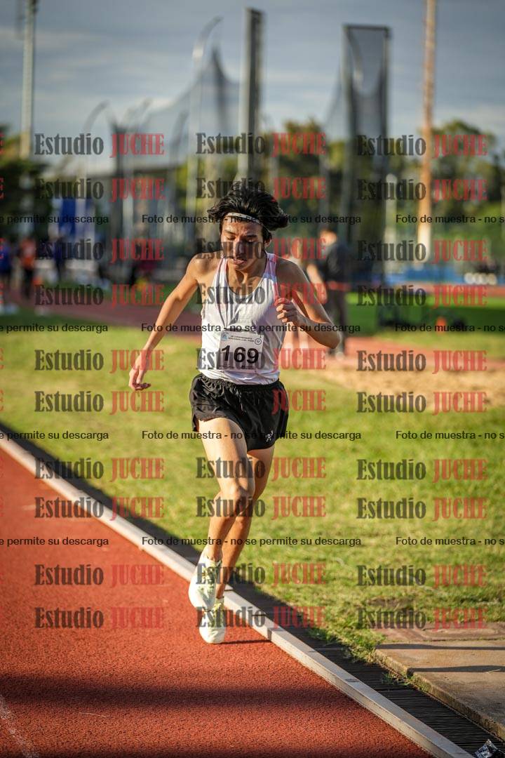 Fotos de los 1500 m llanos de varones