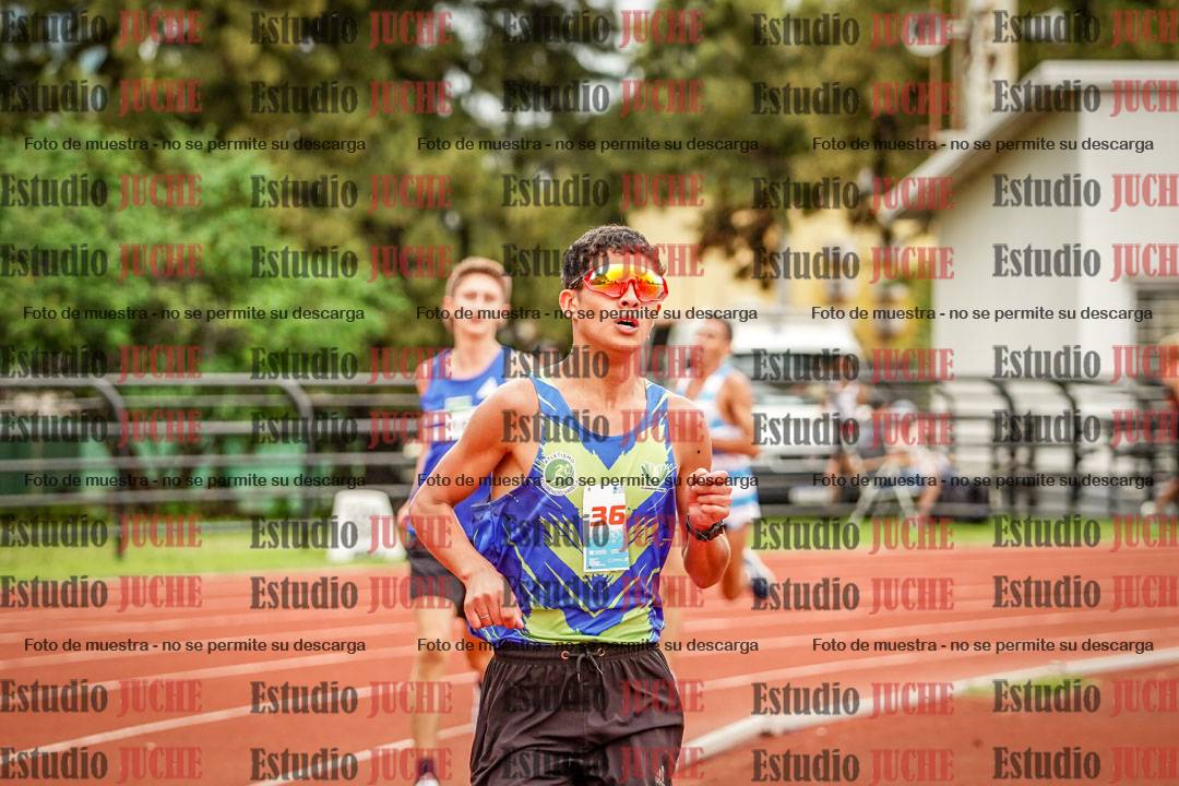 Fotos de los 3000 m llanos de varones