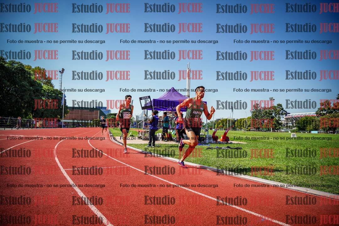 Fotos de los 800 m llanos de varones