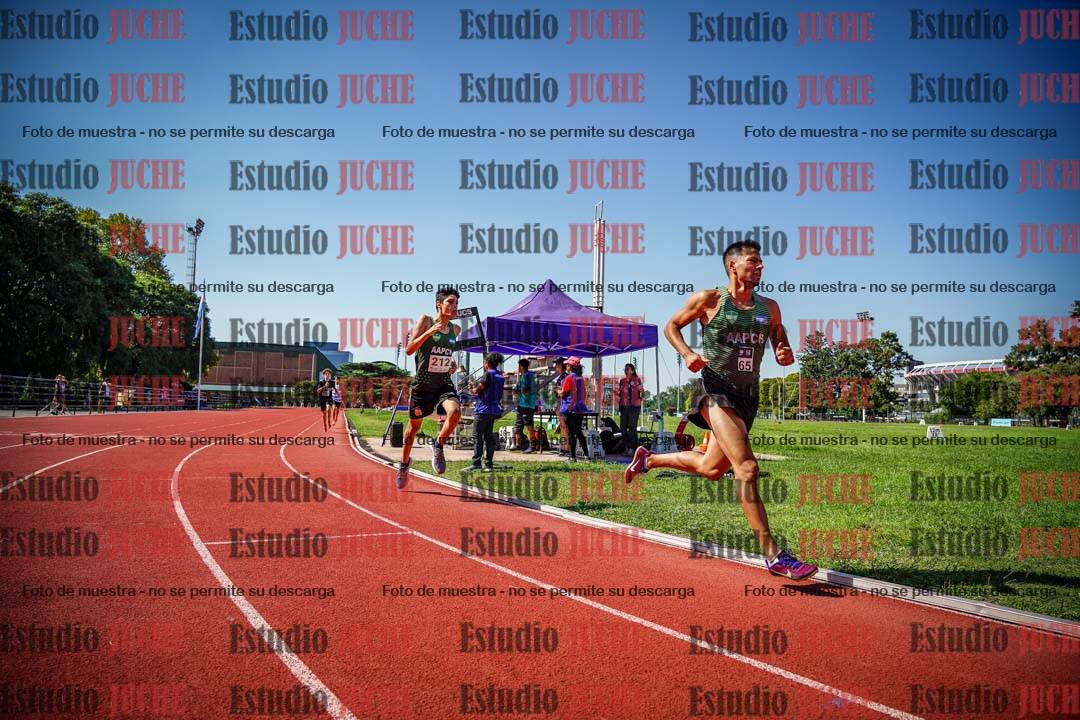 Fotos de los 800 m llanos de varones