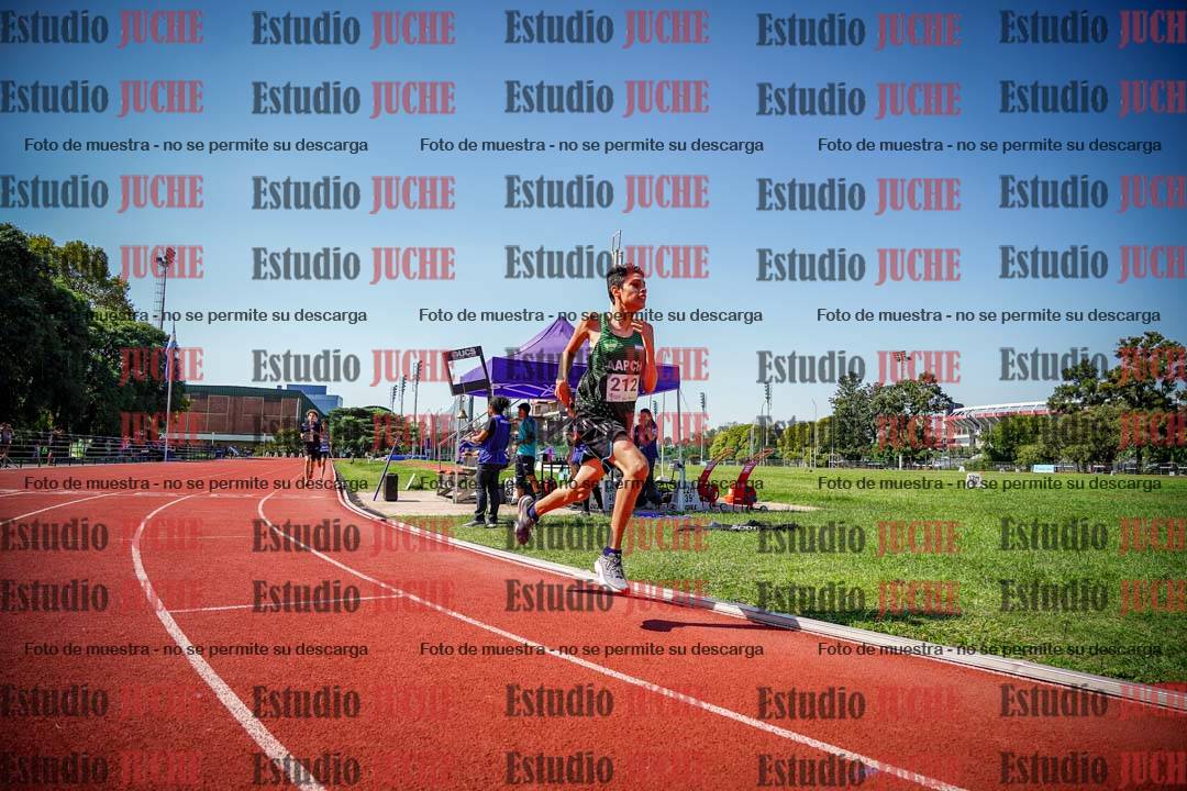 Fotos de los 800 m llanos de varones