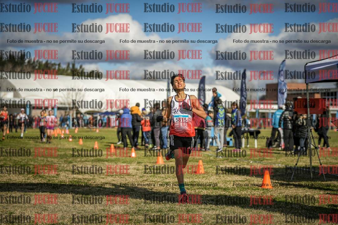 Fotos de las llegadas