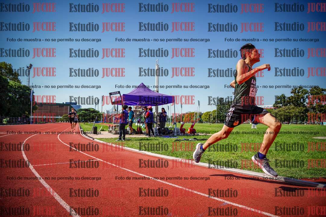 Fotos de los 800 m llanos de varones
