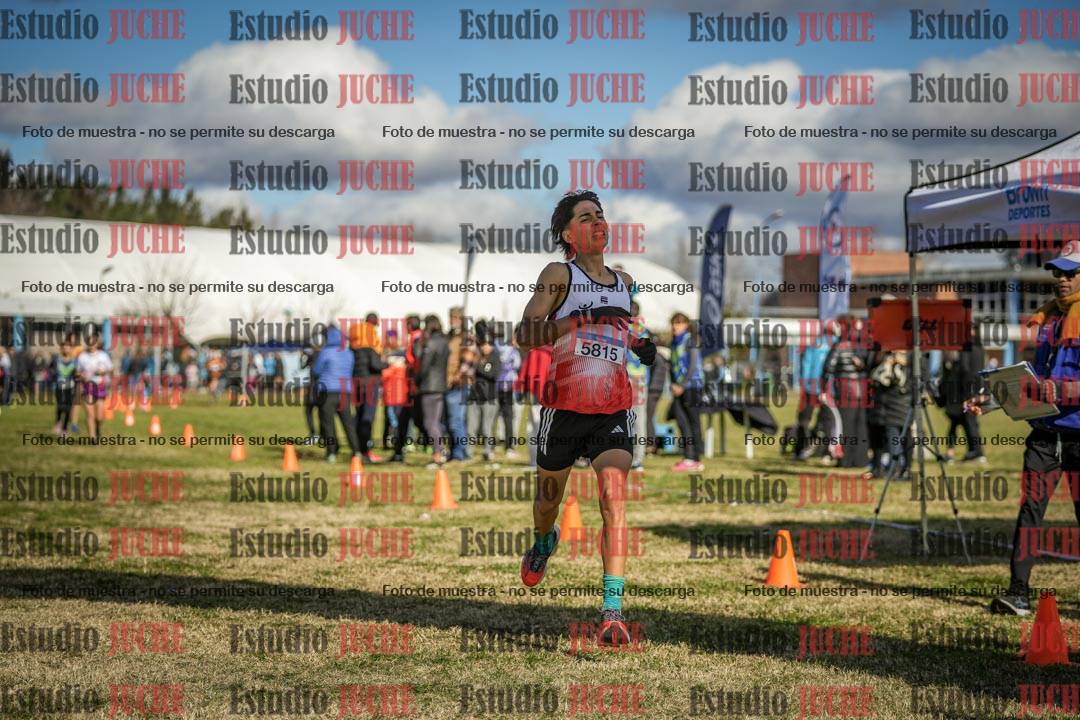 Fotos de las llegadas
