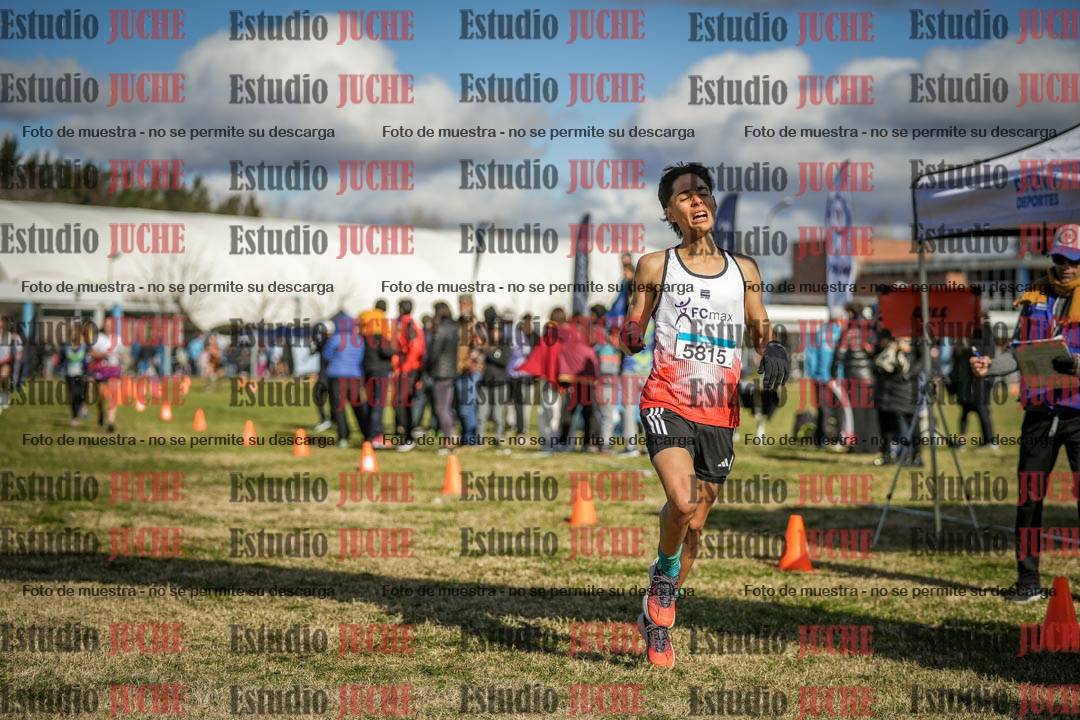 Fotos de las llegadas