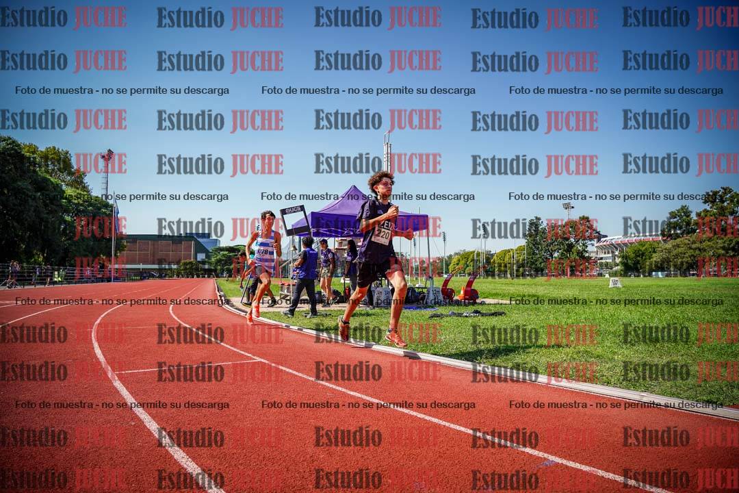 Fotos de los 800 m llanos de varones