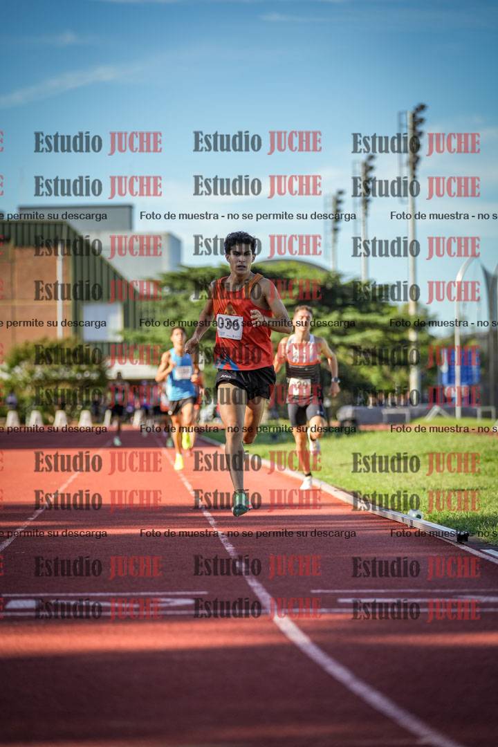 Fotos de los 1500 m llanos de varones