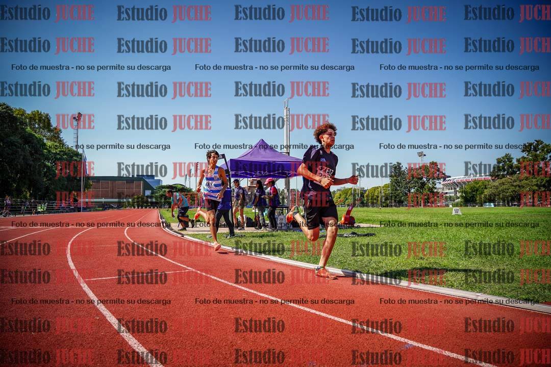 Fotos de los 800 m llanos de varones