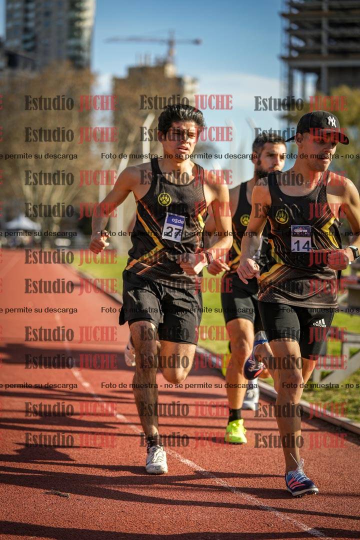 Fotos de los 3000 m llanos de varones