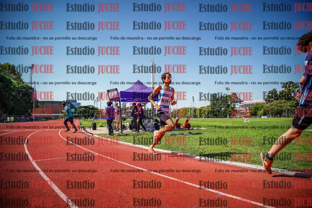 Fotos de los 800 m llanos de varones