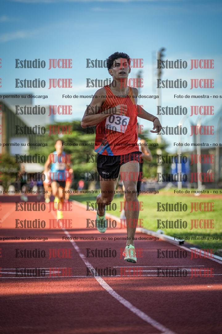 Fotos de los 1500 m llanos de varones