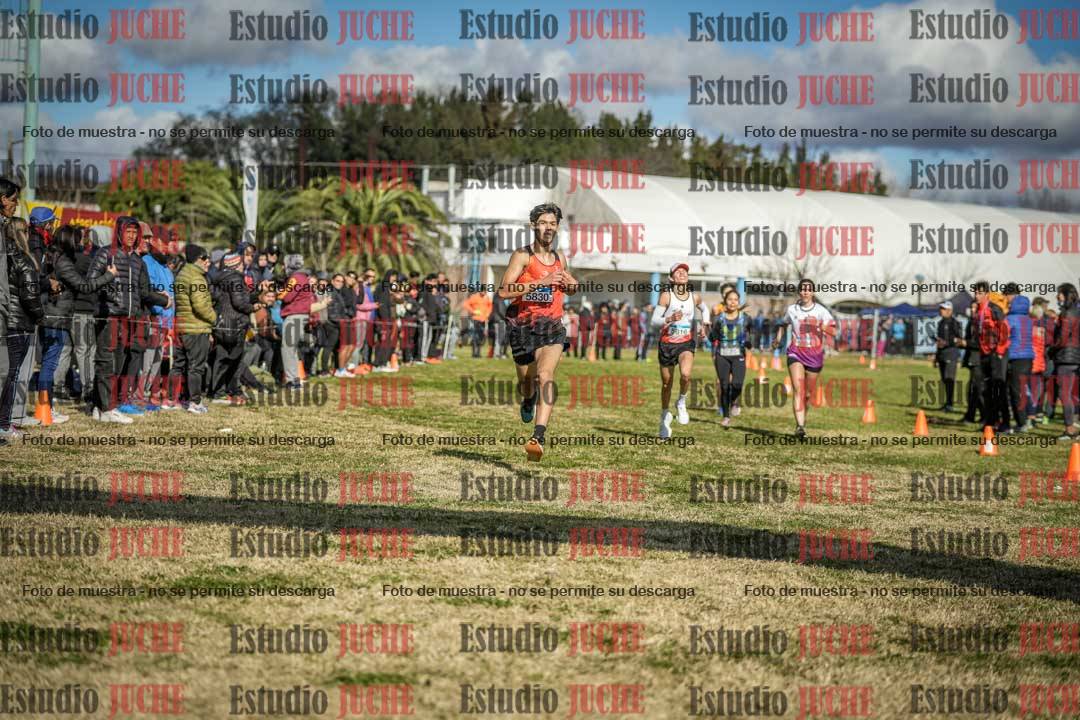 Fotos de las llegadas